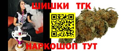 гидра Заводоуковск