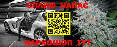 Альфа ПВП Жуковский