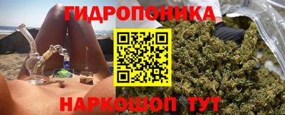 гидра Заводоуковск